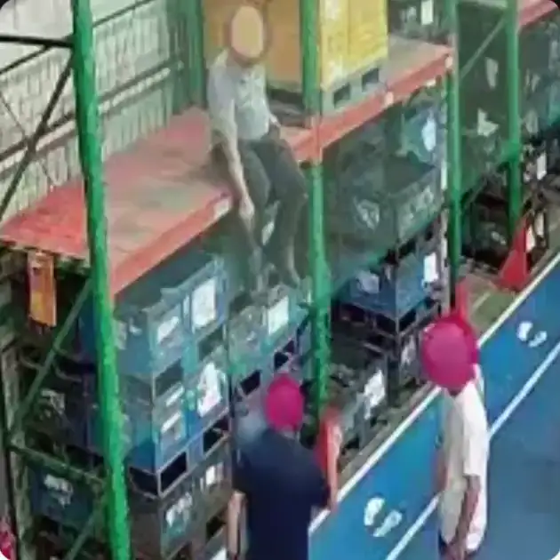 Anonymized worker climbing on top of warehouse racking while coworkers watch from the aisle below